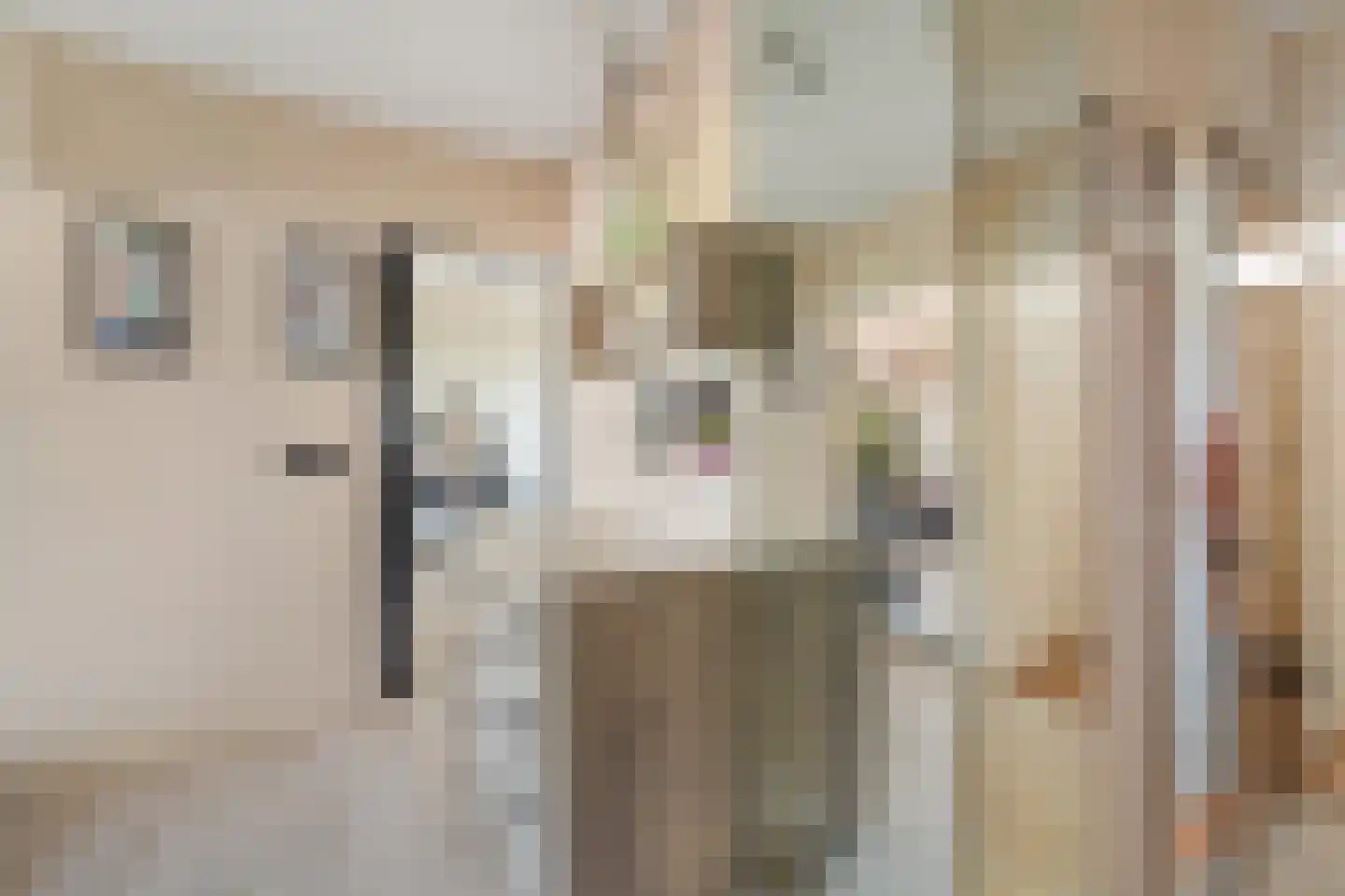 Ocarinalaan 224 Rijswijk thumbnail 18