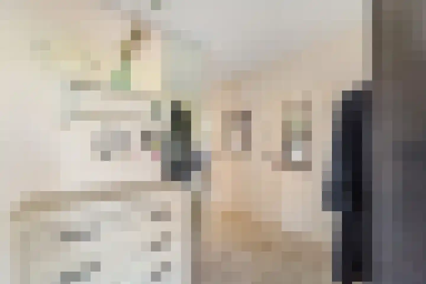 Ocarinalaan 224 Rijswijk thumbnail 22