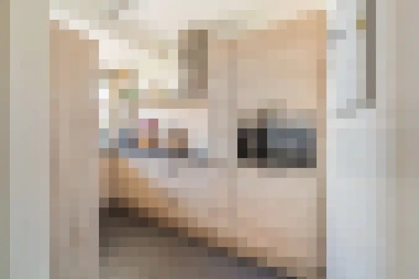 Ocarinalaan 224 Rijswijk thumbnail 26