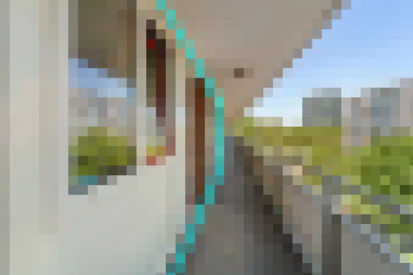 Ocarinalaan 224 Rijswijk thumbnail 30