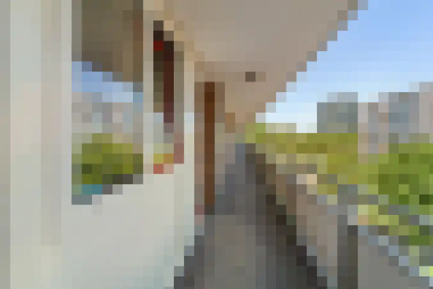 Ocarinalaan 224 Rijswijk thumbnail 9