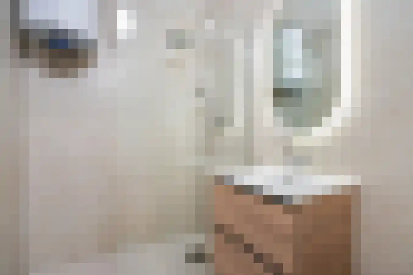 Ocarinalaan 242 Rijswijk thumbnail 10