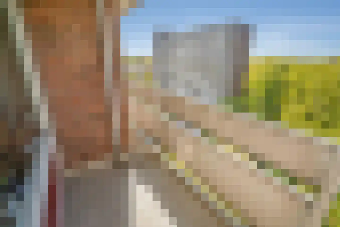 Ocarinalaan 242 Rijswijk thumbnail 18