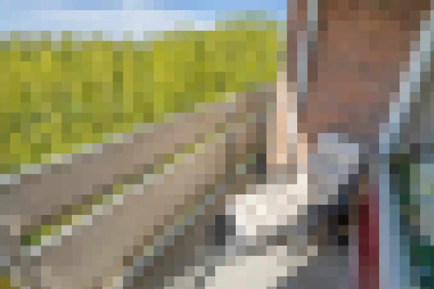 Ocarinalaan 242 Rijswijk thumbnail 19