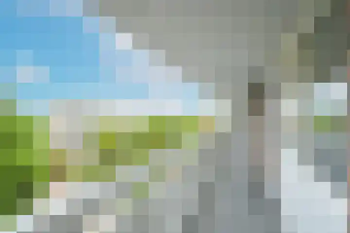 Ocarinalaan 352 Rijswijk thumbnail 6