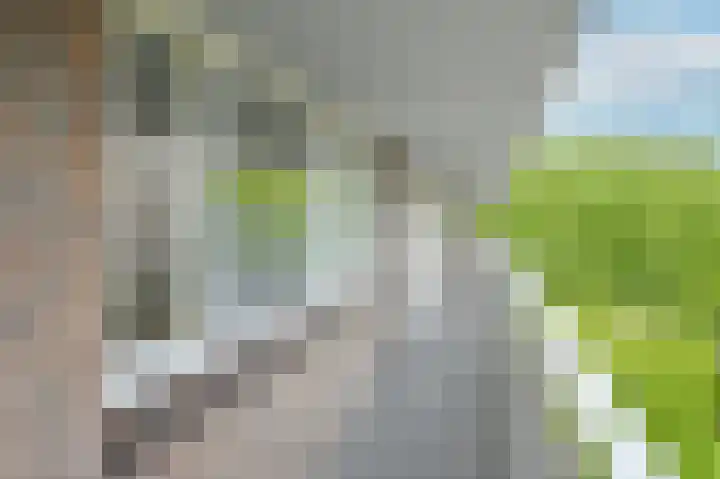 Ocarinalaan 352 Rijswijk thumbnail 7