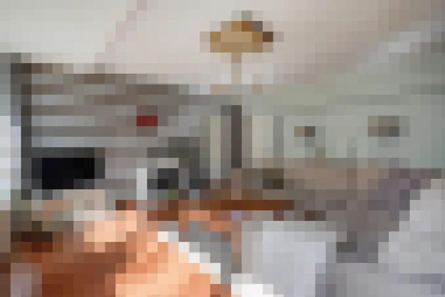 Ocarinalaan 4 Rijswijk thumbnail 27