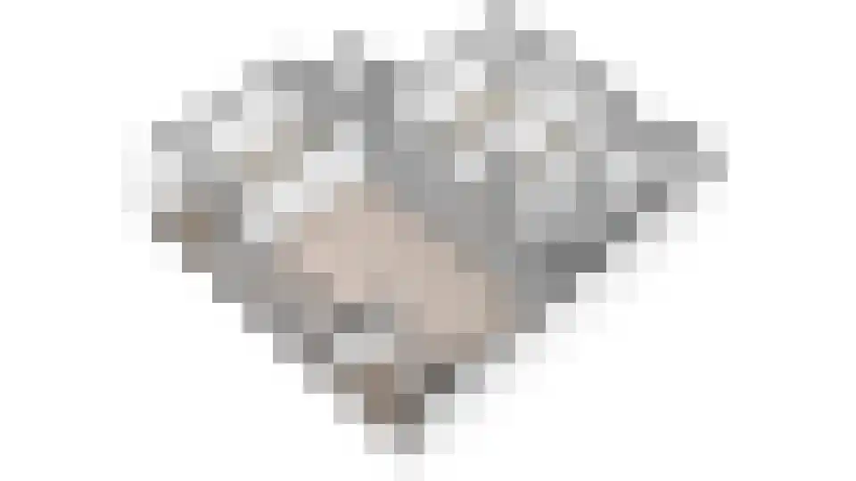 Ocarinalaan 4 Rijswijk thumbnail 48