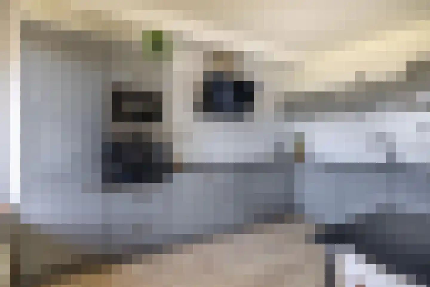 Ocarinalaan 402 Rijswijk thumbnail 21