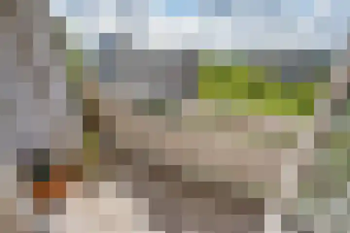 Ocarinalaan 434 Rijswijk thumbnail 13