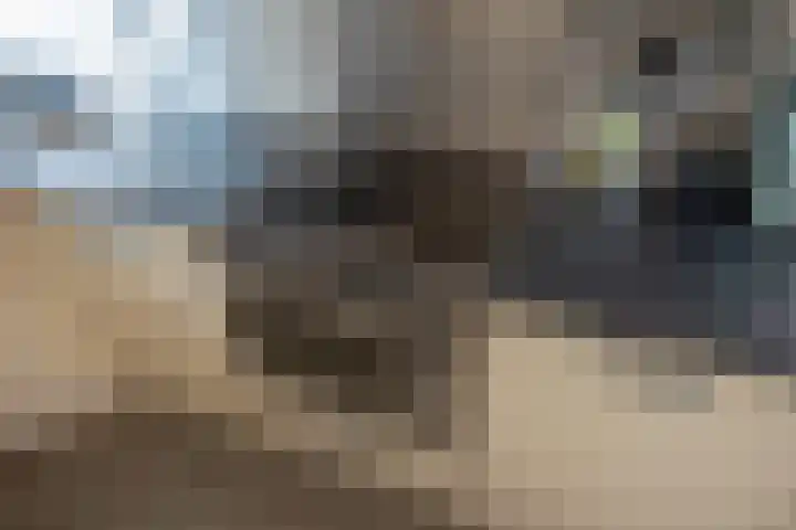 Ocarinalaan 434 Rijswijk thumbnail 16