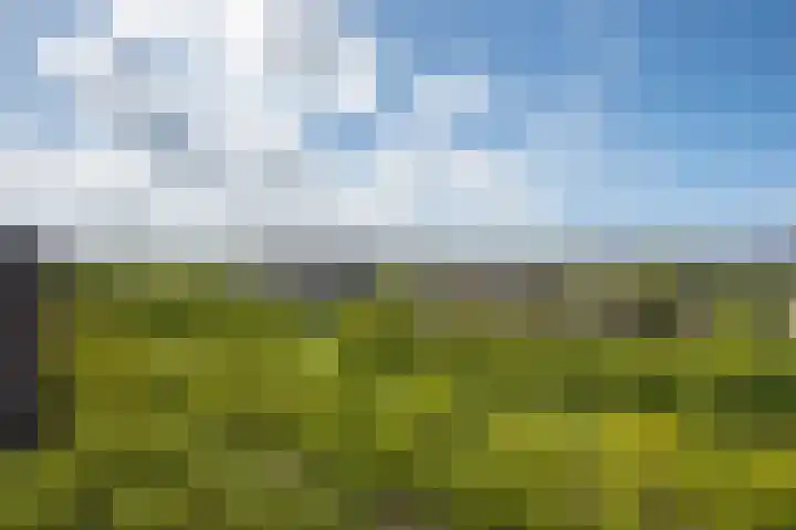 Ocarinalaan 434 Rijswijk thumbnail 4