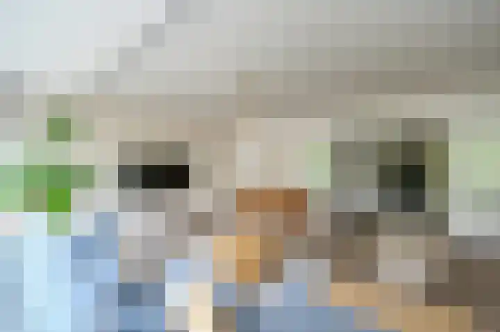 Ocarinalaan 480 Rijswijk thumbnail 5