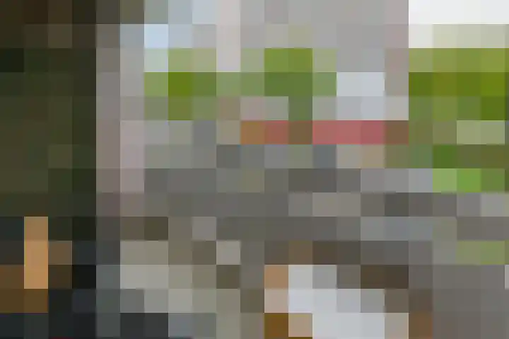 Ocarinalaan 480 Rijswijk thumbnail 9