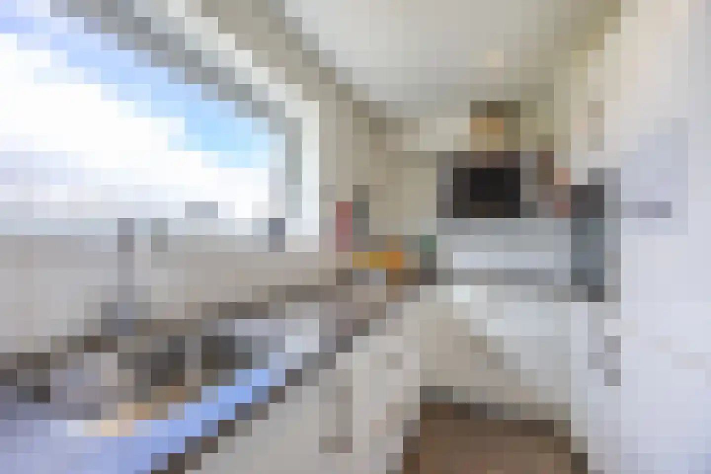 Ocarinalaan 512 Rijswijk thumbnail 22