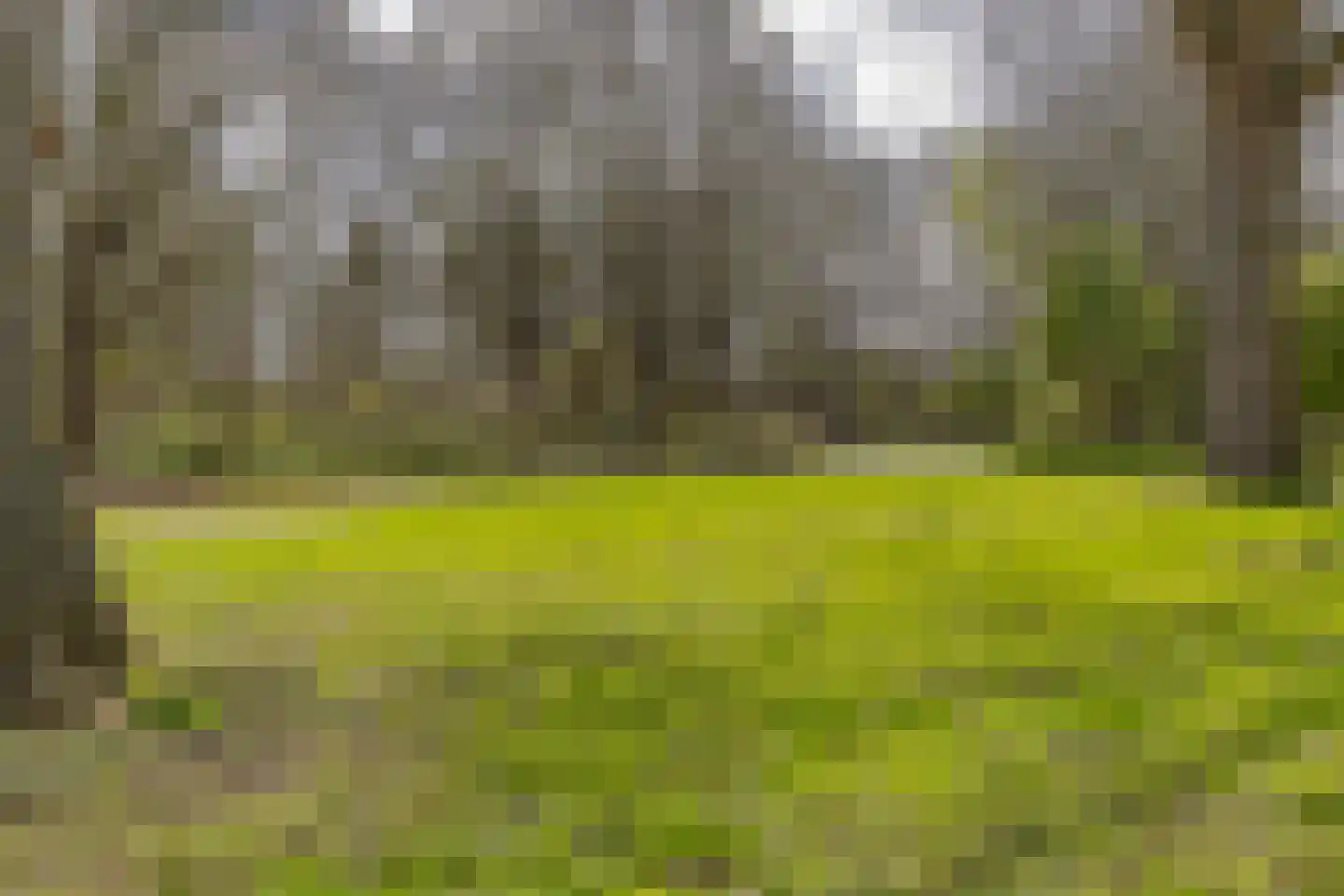 Ocarinalaan 512 Rijswijk thumbnail 38