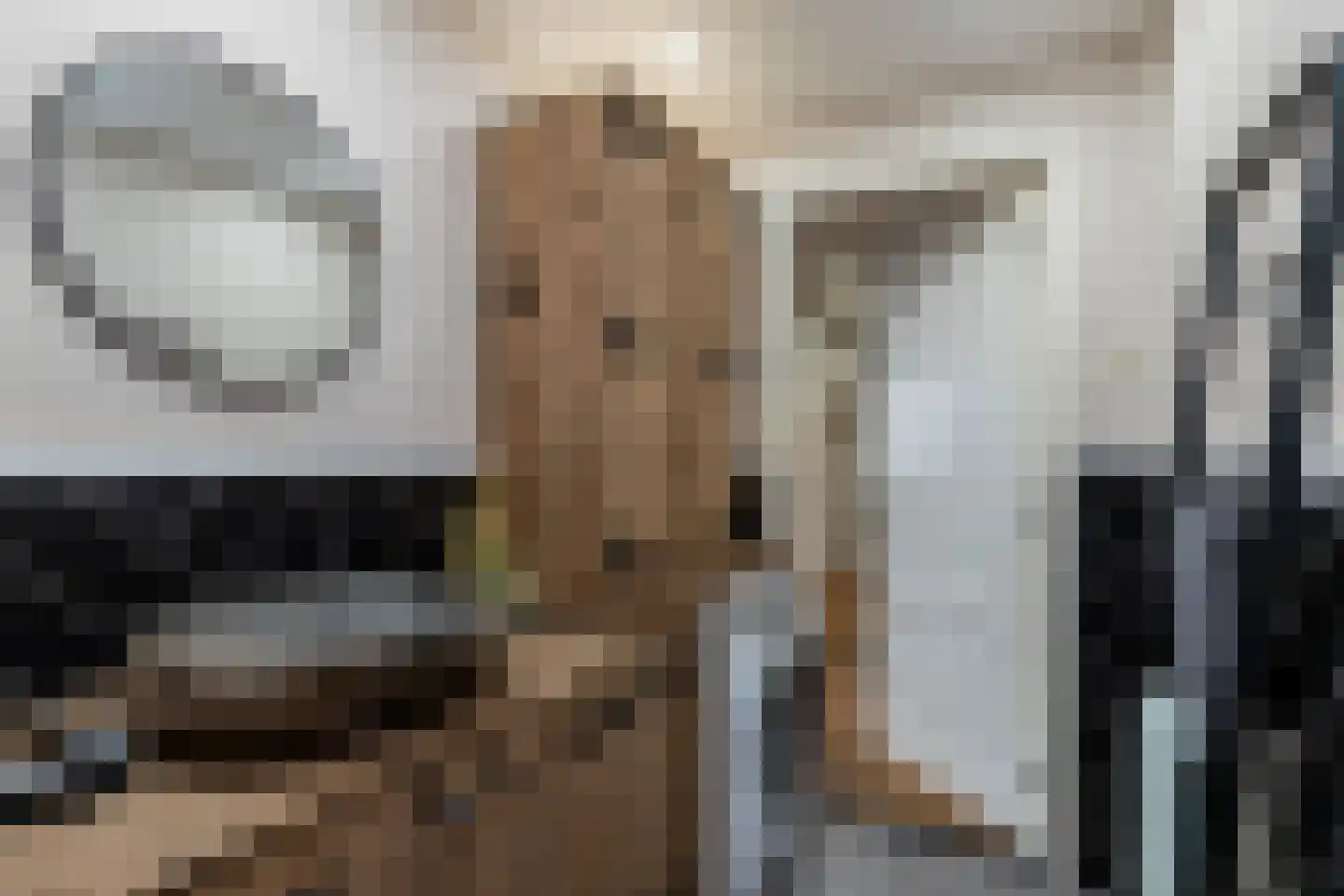 Ocarinalaan 536 Rijswijk thumbnail 30