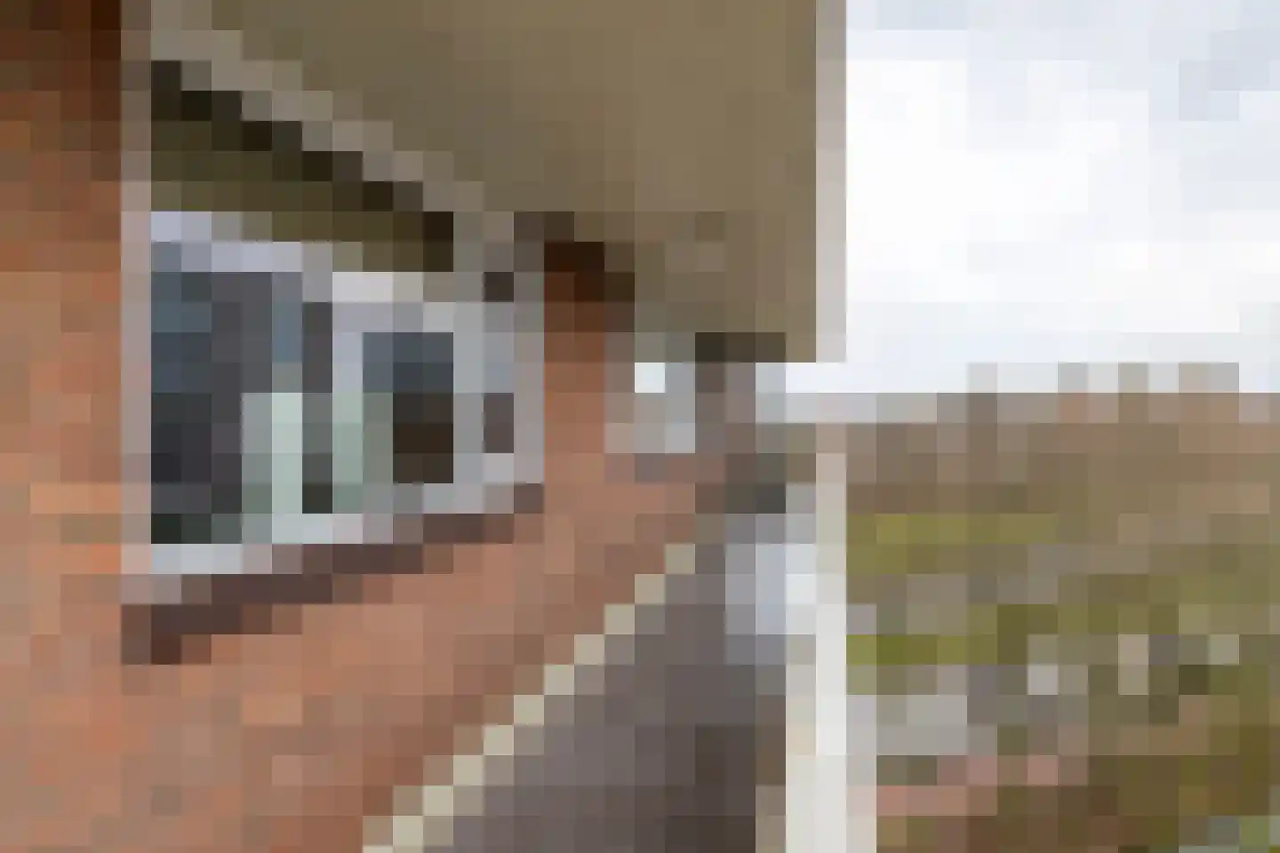 Ocarinalaan 536 Rijswijk thumbnail 38
