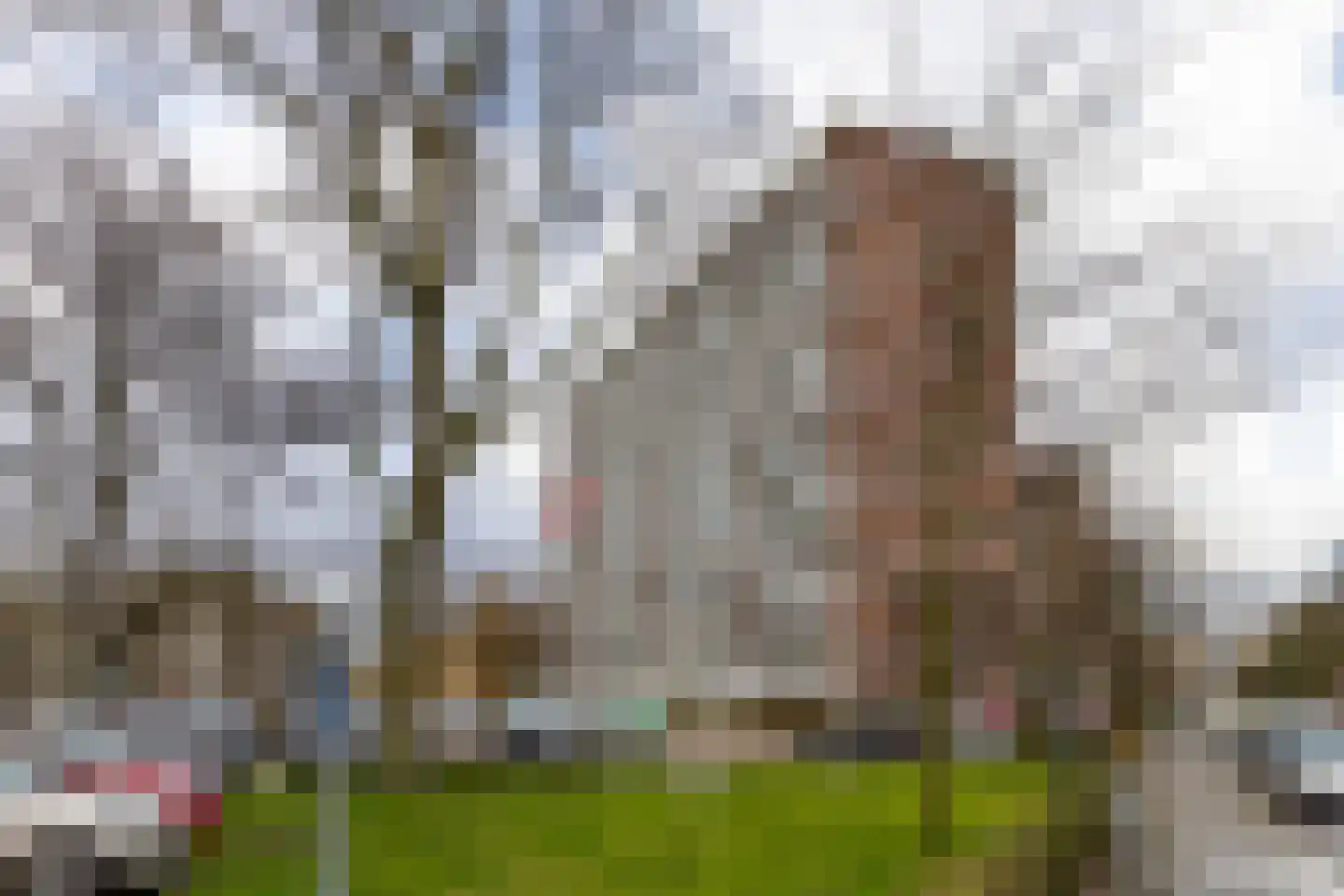 Ocarinalaan 536 Rijswijk thumbnail 42