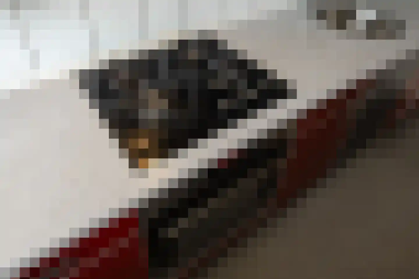 Ocarinalaan 538 Rijswijk thumbnail 34