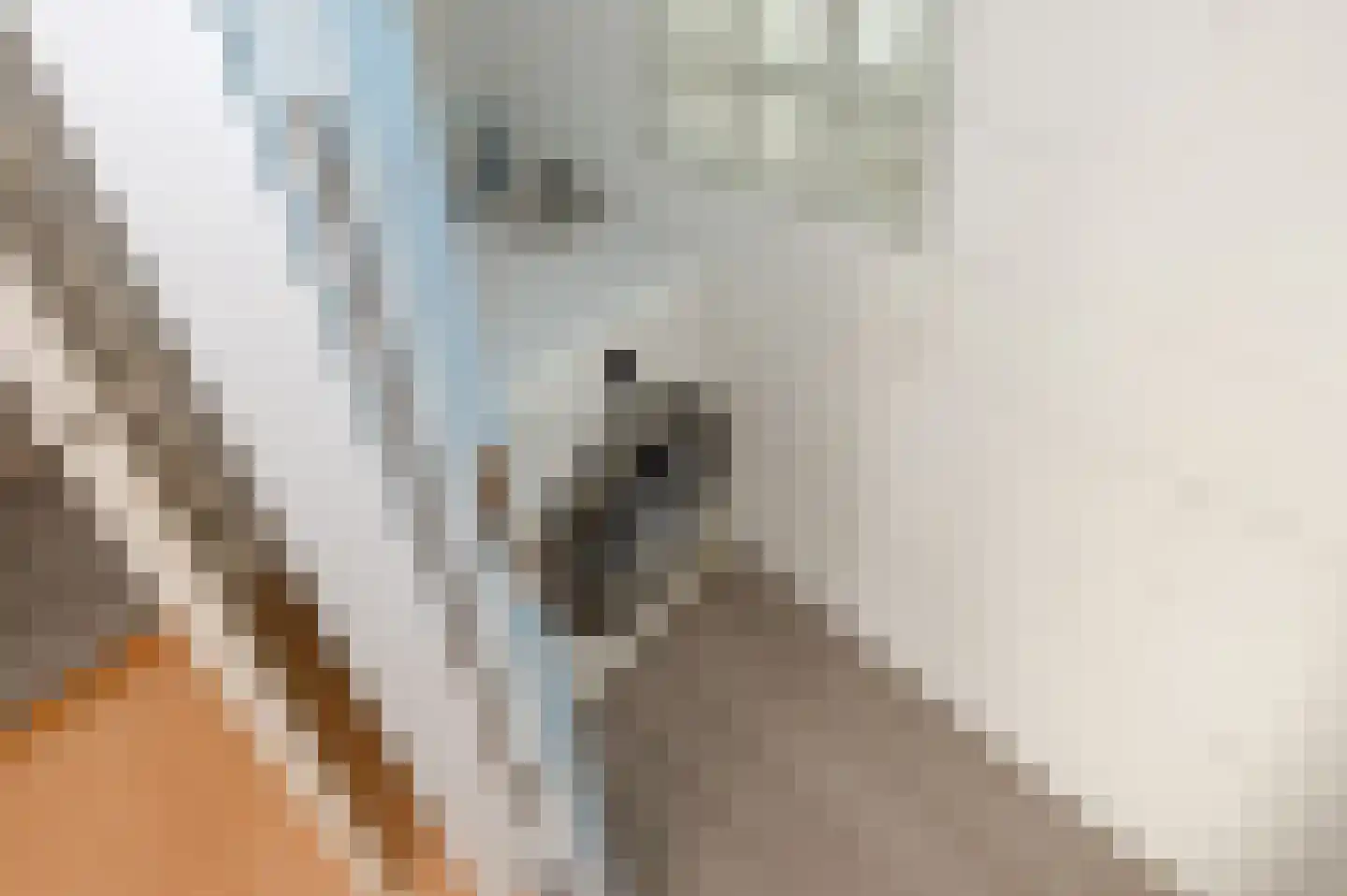 Ocarinalaan 538 Rijswijk thumbnail 46