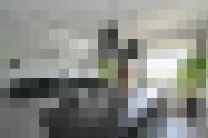 Ocarinalaan 548 Rijswijk thumbnail 11