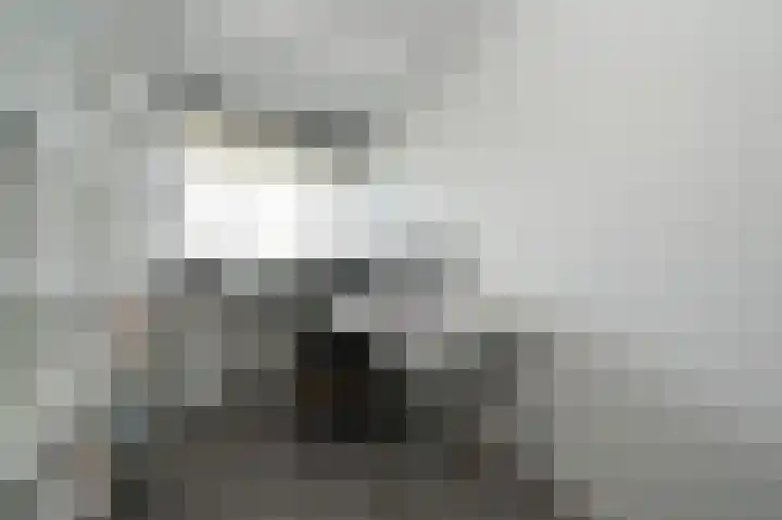 Ocarinalaan 548 Rijswijk thumbnail 22