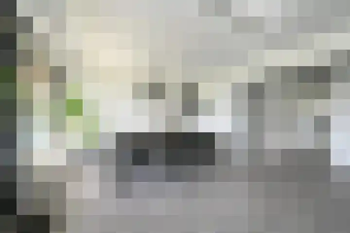 Ocarinalaan 548 Rijswijk thumbnail 6
