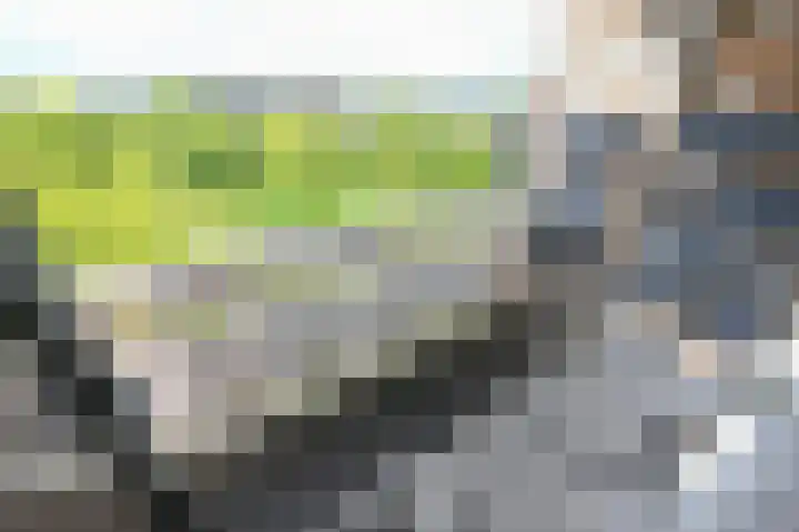 Ocarinalaan 548 Rijswijk thumbnail 7