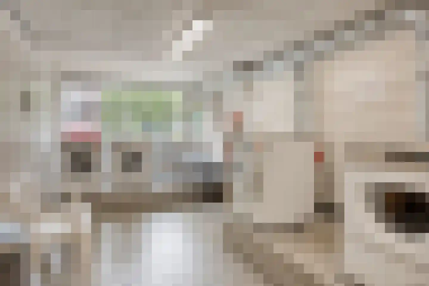 Ocarinalaan 564 Rijswijk thumbnail 27