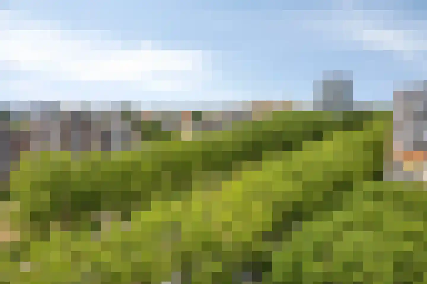 Ocarinalaan 564 Rijswijk thumbnail 33