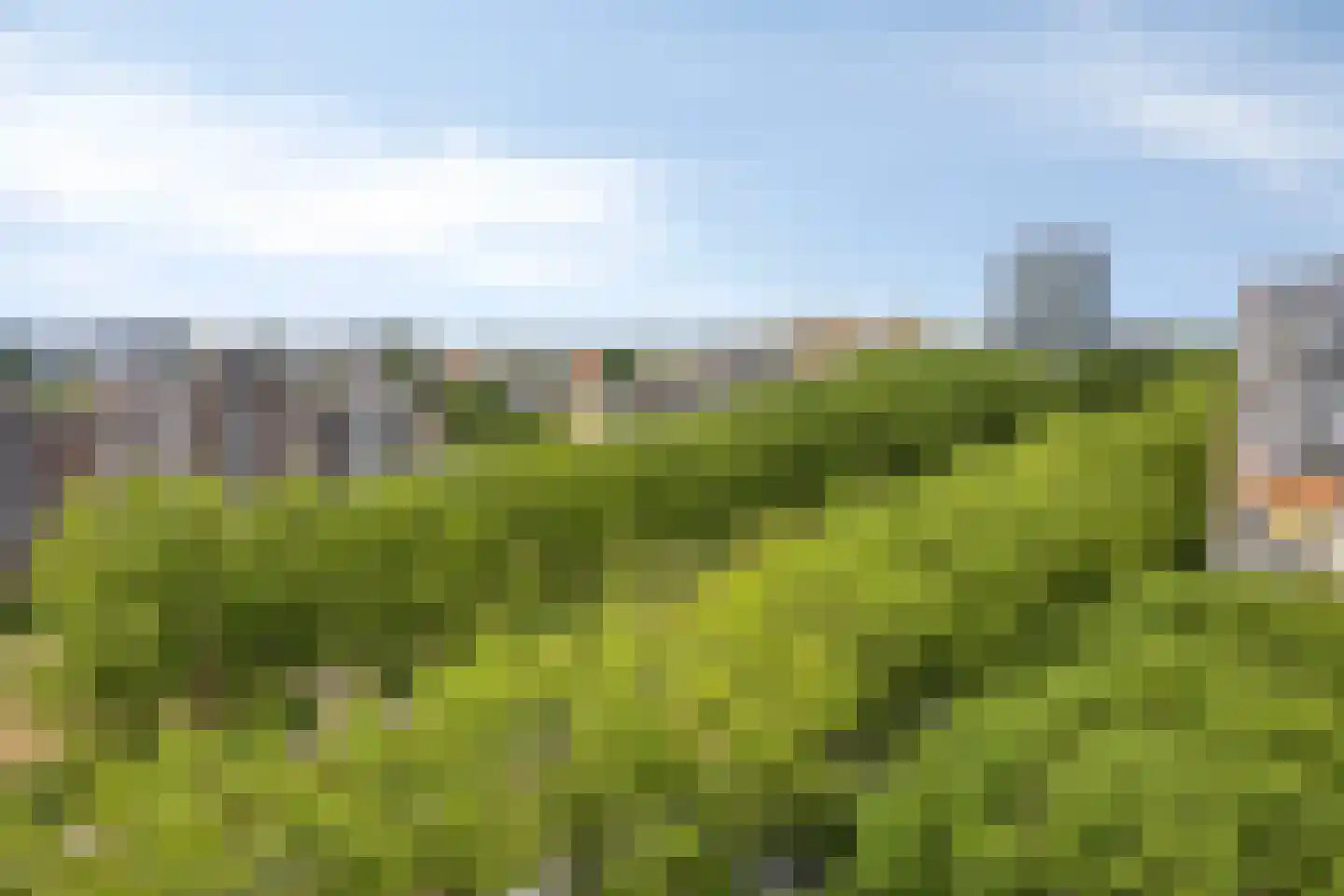 Ocarinalaan 564 Rijswijk thumbnail 33
