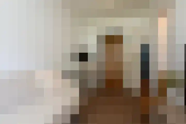 Ocarinalaan 598 Rijswijk thumbnail 31