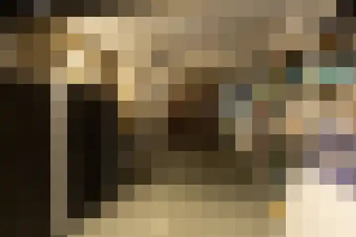 Ocarinalaan 598 Rijswijk thumbnail 39