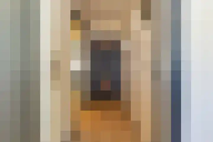 Ocarinalaan 598 Rijswijk thumbnail 6