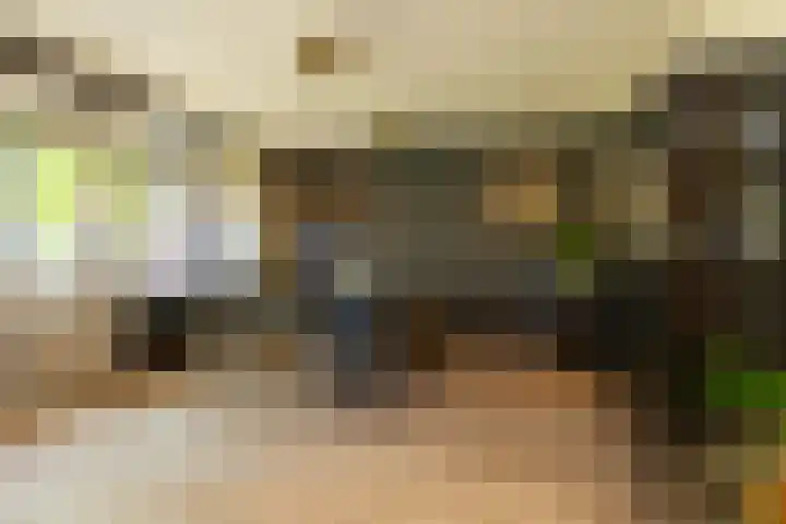 Ocarinalaan 598 Rijswijk thumbnail 9