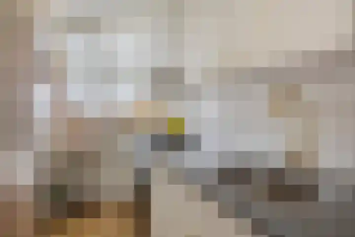 Ocarinalaan 64 Rijswijk thumbnail 12