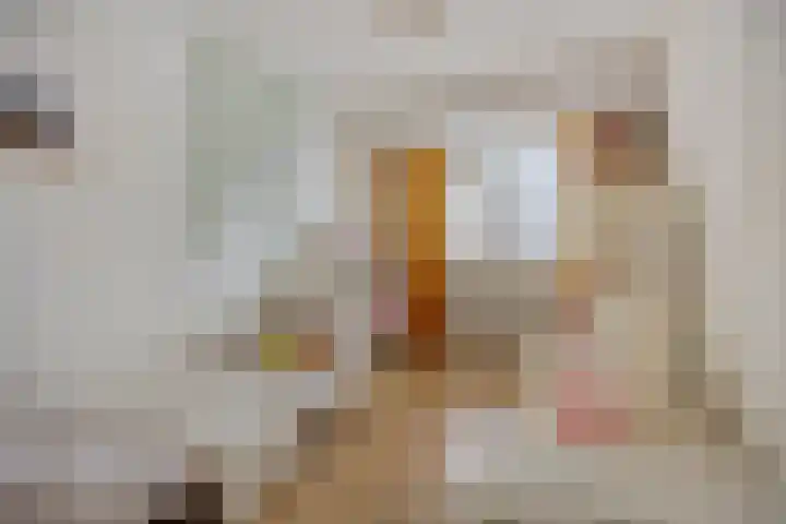Ocarinalaan 64 Rijswijk thumbnail 17