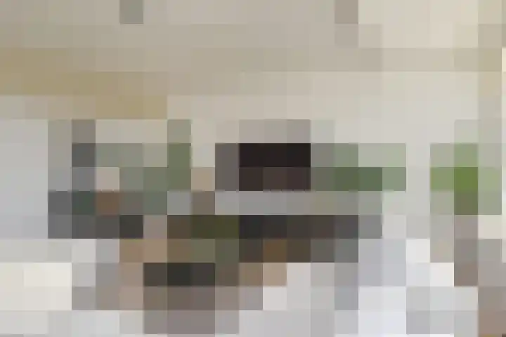 Ocarinalaan 640 Rijswijk thumbnail 15