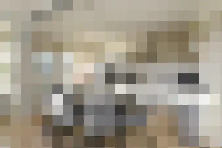 Ocarinalaan 640 Rijswijk thumbnail 19