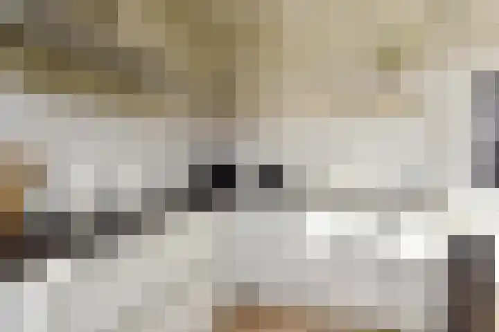 Ocarinalaan 640 Rijswijk thumbnail 21
