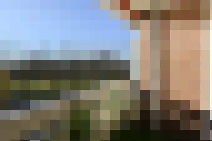 Ocarinalaan 640 Rijswijk thumbnail 23