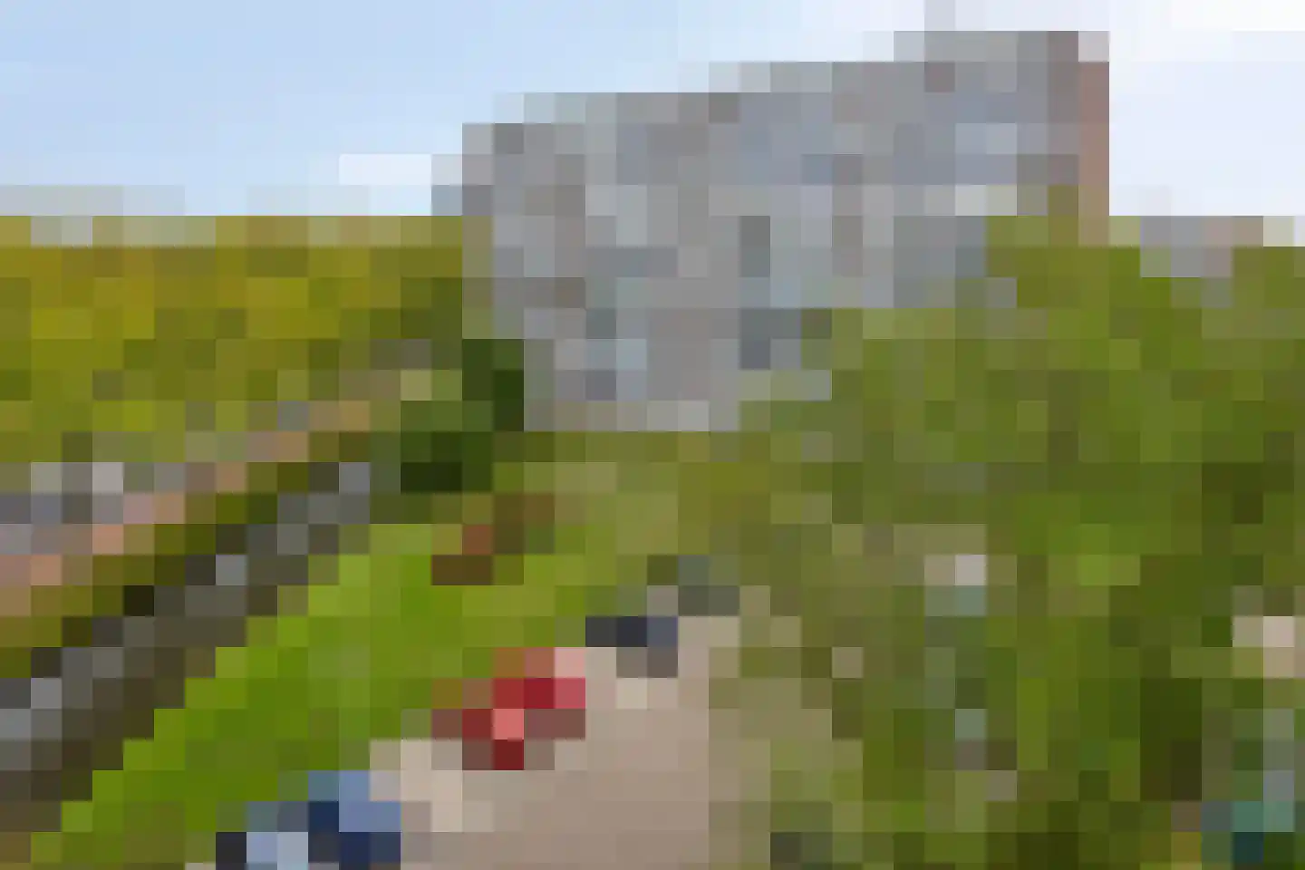 Ocarinalaan 668 Rijswijk thumbnail 35