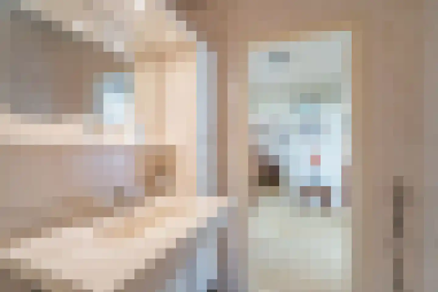Ocarinalaan 688 Rijswijk thumbnail 27
