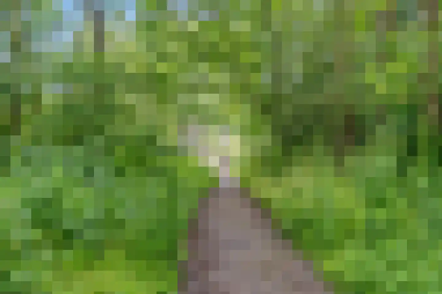 Ocarinalaan 688 Rijswijk thumbnail 33