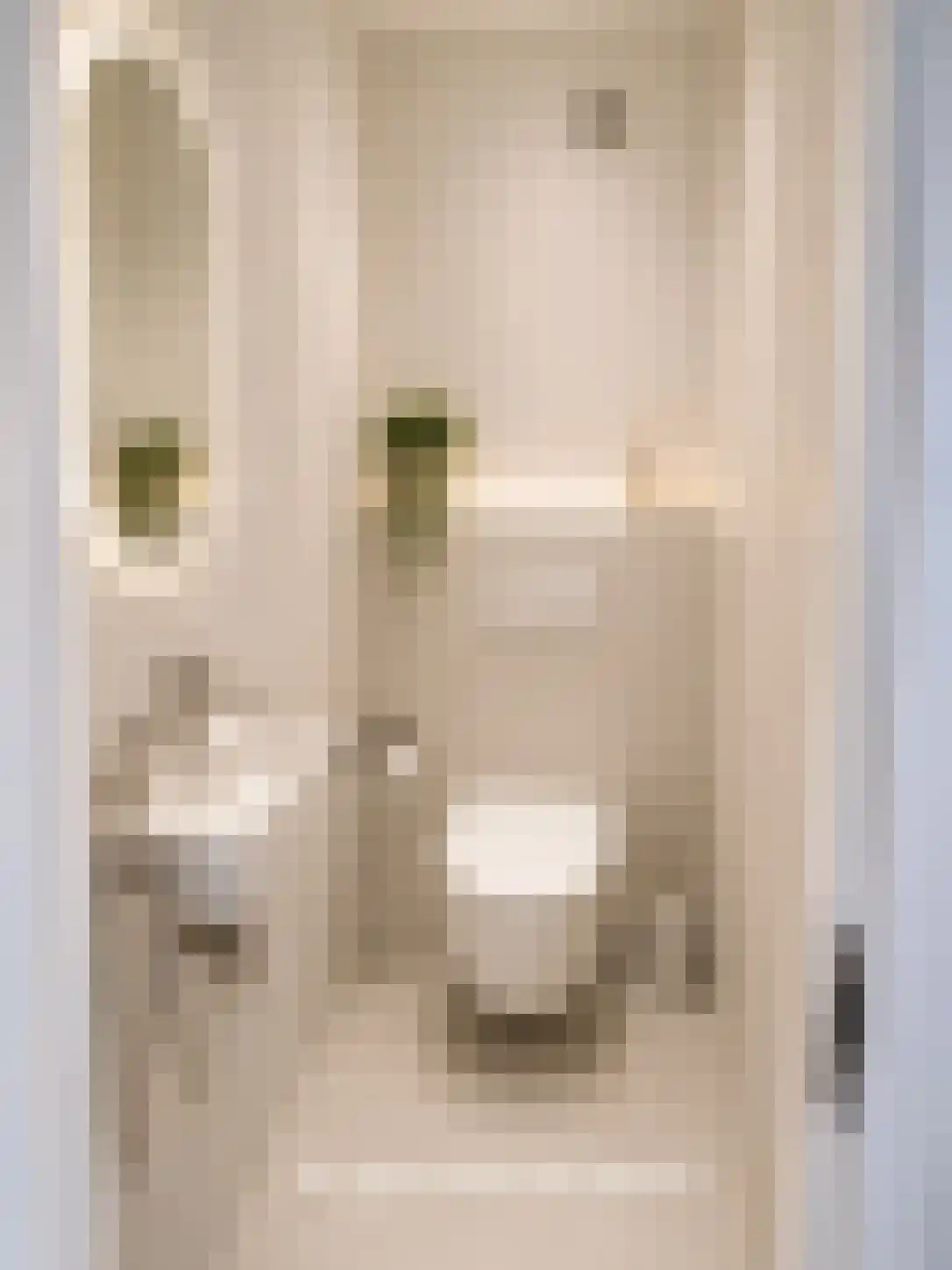 Ocarinalaan 704 Rijswijk thumbnail 31