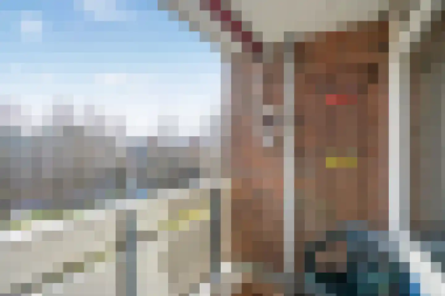 Ocarinalaan 74 Rijswijk thumbnail 16