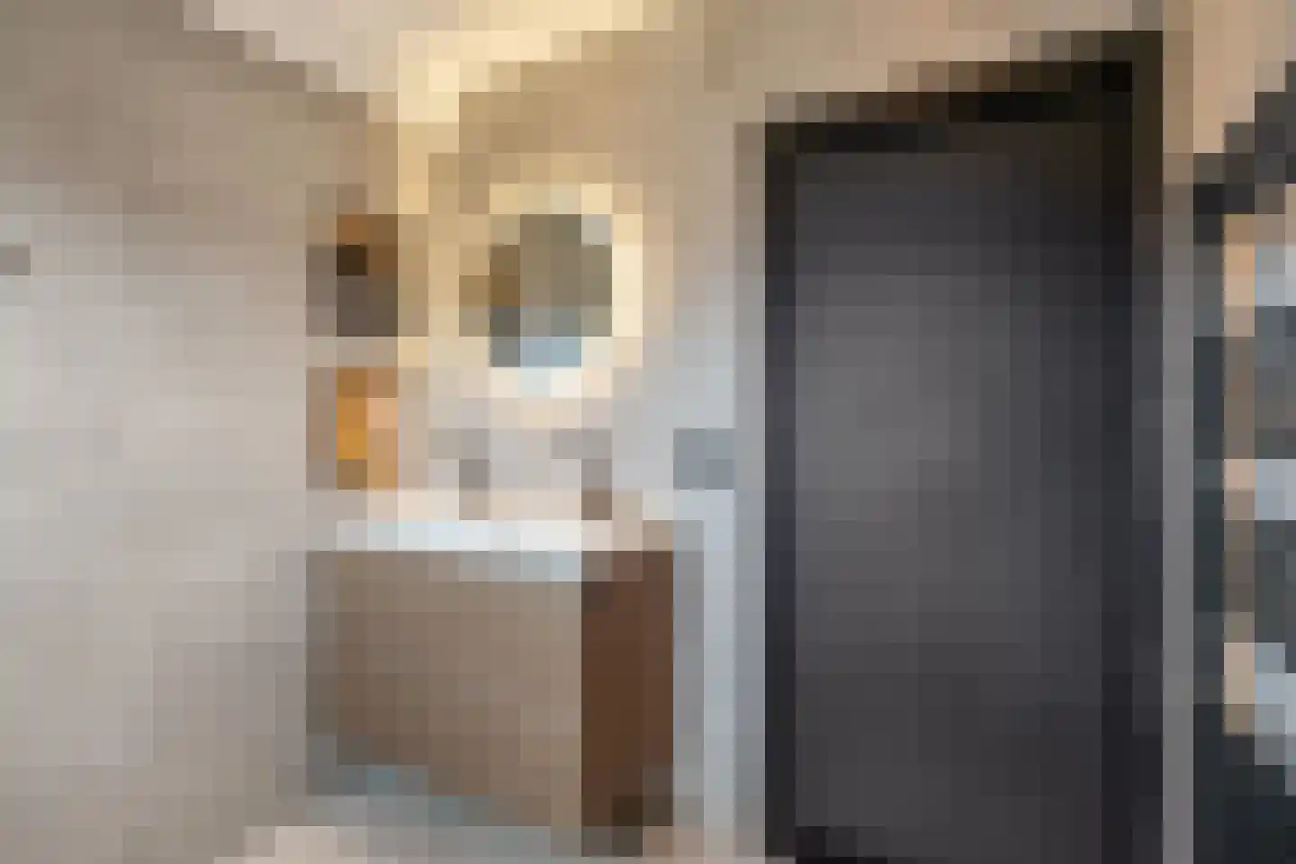 Ocarinalaan 74 Rijswijk thumbnail 4
