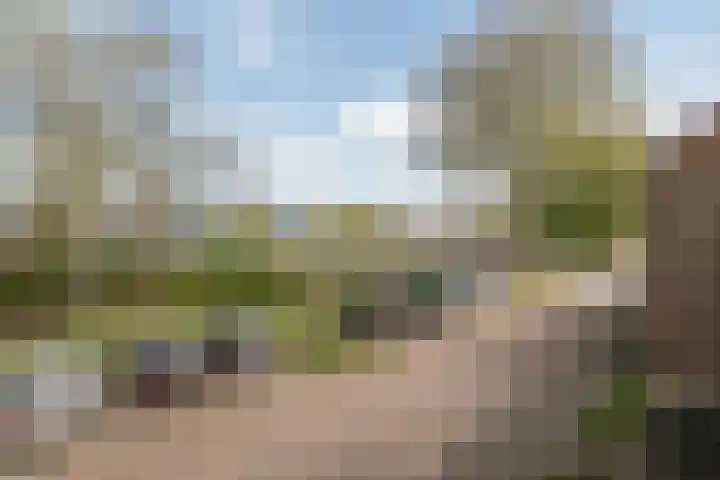 Occarinolaan 6 Nieuwegein thumbnail 22