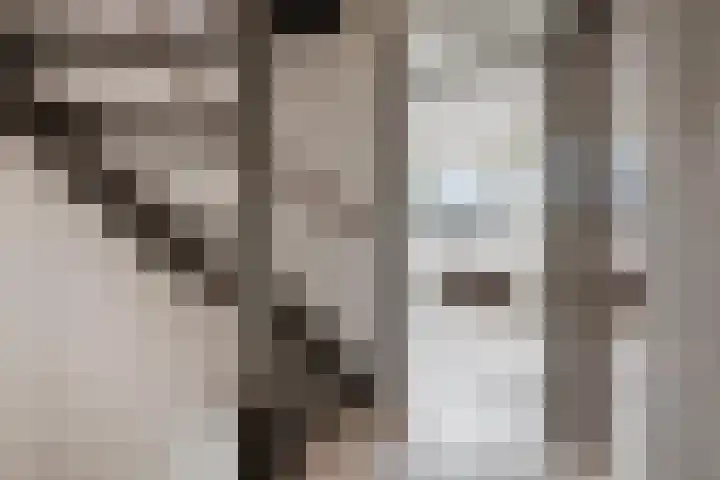 Occarinolaan 6 Nieuwegein thumbnail 24